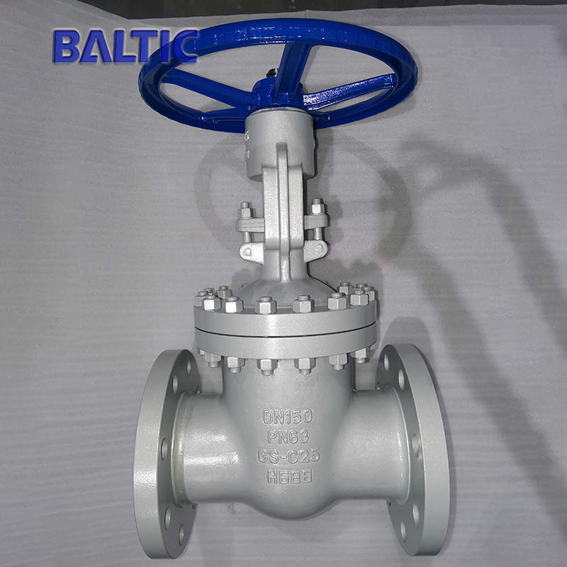 Handwheel Operated Wedge Gate Valve, DN150, PN63, EN 1984