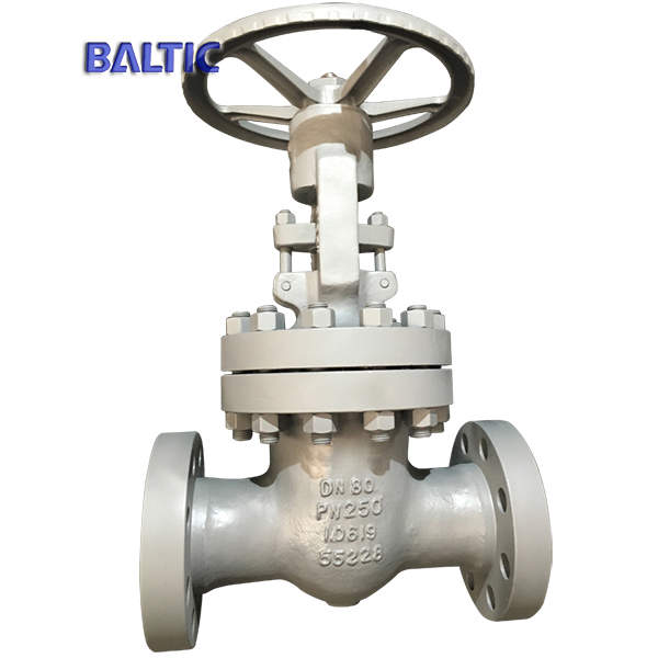 High Pressure Flexible Wedge Gate Valve, 1.0619, DN80, PN250, RTJ