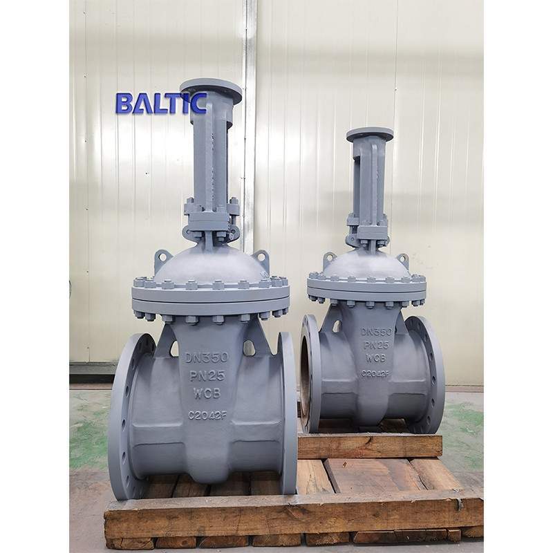 PN25 Wedge Gate Valve, DN350, A216 WCB, DIN 3352, RF