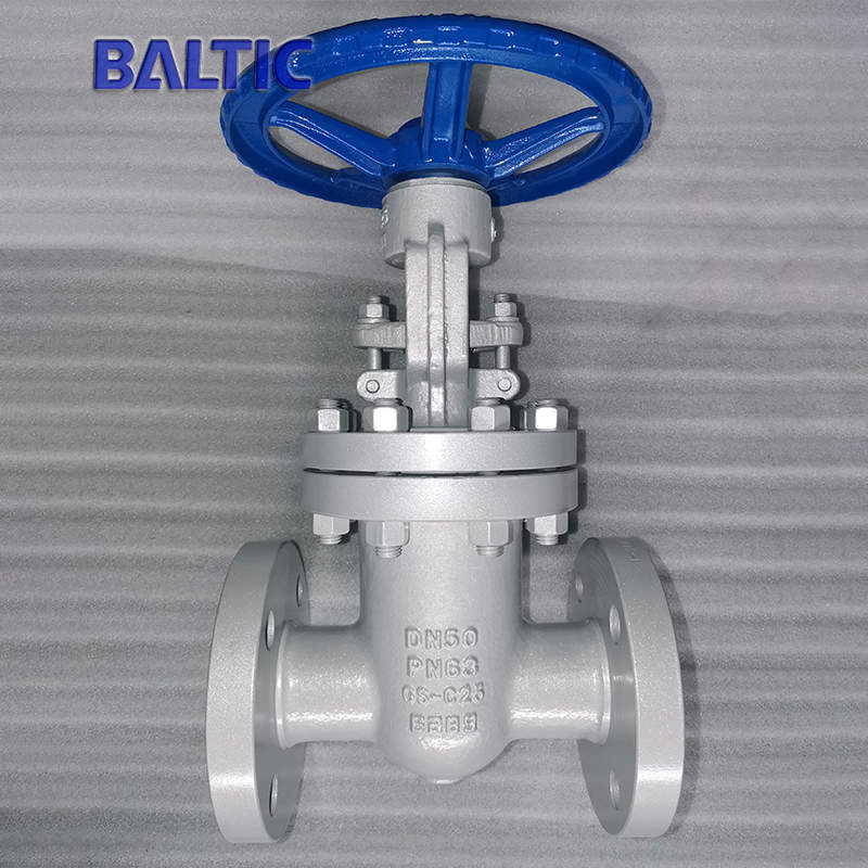 Raised Face Wedge Gate Valve, GS-C25, DN50, PN63, DIN 3352