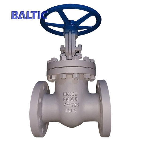 Raised Faced Flexible Wedge Gate Valve, EN 1984, DIN 3352, GS-C25