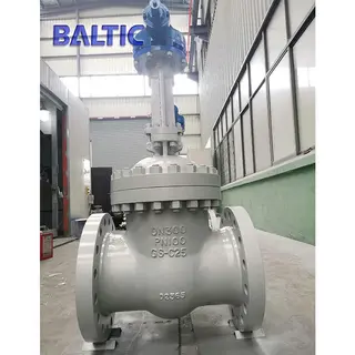 GS-C25 Wedge Gate Valve, DN300, PN100, EN 1984, DIN 3352