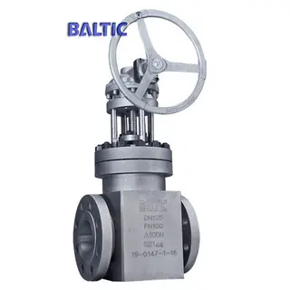 Integral Flanged Gate Valve, ASTM A105N, DN125, PN100, EN 1984