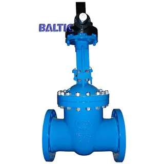 EN 1984 Wedge Gate Valve, GS-C25, DN250, PN63, EN 558-1/line 26