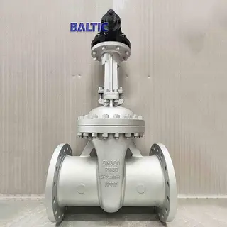 GP240GH Gate Valve, EN 1984, DIN 3352 DN300, PN40, RF