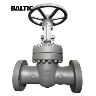 EN 1984 Flexible Wedge Gate Valve, 1.0619, DN50, PN250, RF