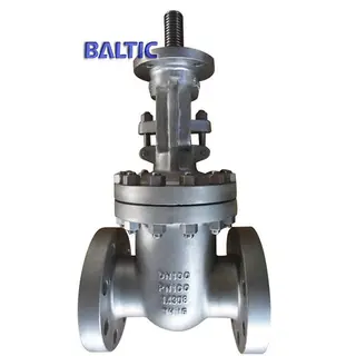 1.4308 Wedge Gate Valve, Bare Stem with Flange, DN100, PN100, RF