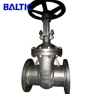 ASTM A351 CF3M Flexible Wedge Gate Valve, DN150, PN16, RF Flanged