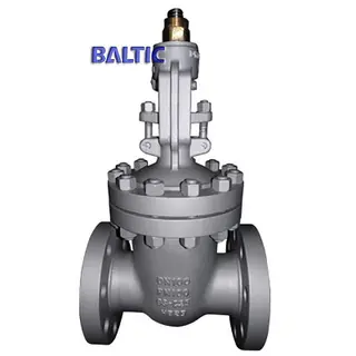 Flexible Wedge Gate Valve with RF End, EN 1984, GS-C25, DN100, PN100