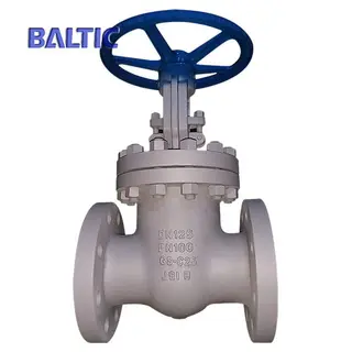 Raised Faced Flexible Wedge Gate Valve, EN 1984, DIN 3352, GS-C25