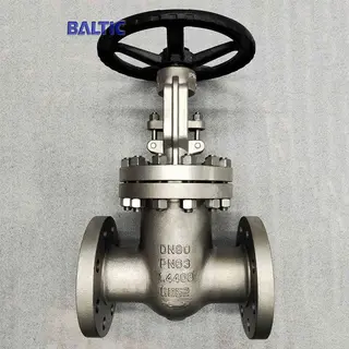 1.4408 Flexible Wedge Gate Valve, DN80, PN63, DIN 3352