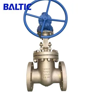 ASTM A351 CF8M Flexible Wedge Gate Valve, DN125, PN100, RF Flanged