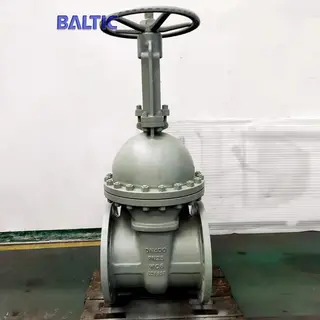 ASTM A217 WC6 Gate Valve, DN400, PN25, EN 1984, DIN 3352, RF