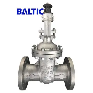 1.4571 Flexible Wedge Gate Valve, DN100, PN40, Flanged, EN 1984