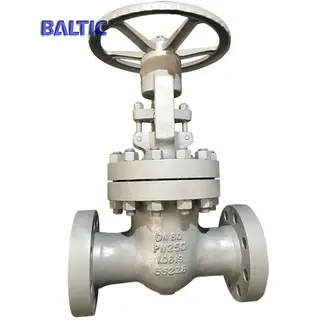 High Pressure Flexible Wedge Gate Valve, 1.0619, DN80, PN250, RTJ