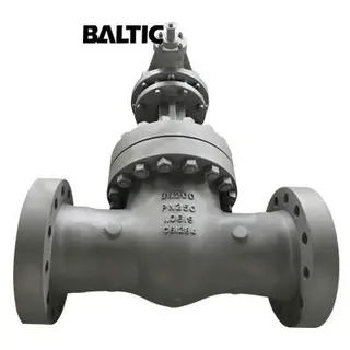 EN 1984 Flexible Wedge Gate Valve, 1.0619, DN200, PN250, RTJ X RTJ