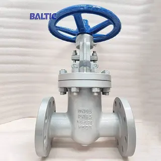 GS-C25 Gate Valve, DN65, PN63, EN 1984, DIN 3352, RF