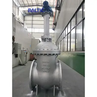 GP240GH Wedge Gate Valve, DN600, PN25, DIN 3352, RF