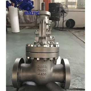 1.4408 Wedge Gate Valve, DN150, PN160, EN 1984, DIN 3352