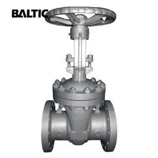 API 600 Wedge Gate Valve, ASTM A216 WCB, 10 Inch, 150LB, RF X RF