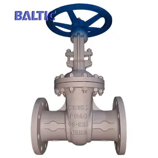 DN100 Flexible Wedge Gate Valve, GS-C25, DIN 3352, PN40, RF X RF