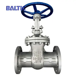 DN125 Flexible Wedge Gate Valve, DIN 3352, EN 1984, PN40, RF End