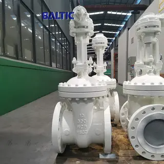 10 Inch Flexible Wedge Gate Valve, ASTM A216 WCB, 300 LB