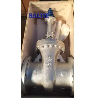 16 Inch 300 LB Gate Valve, ASTM A216 WCB, API 600, RF