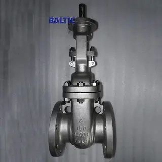 1.4408 Flexible Wedge Gate Valve, 4 IN, 150 LB, API 600