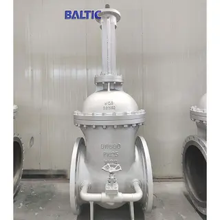DN600 Wedge Gate Valve, PN25, WCB, EN 1984, DIN 3352, RF