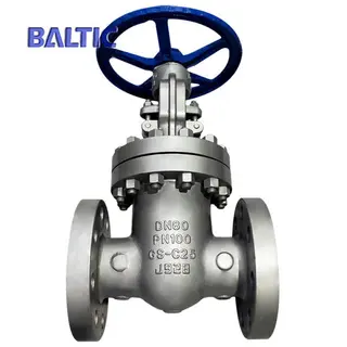 RF End Flexible Wedge Gate Valve, GS-C25, DIN 3352, DN80, PN100