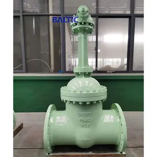 ASTM A216 WCB Gate Valve, DN500, PN40, EN 1984, DIN 3352