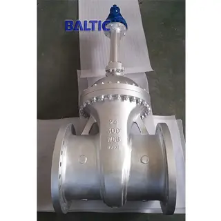 24 Inch CL300 Flexible Wedge Gate Valve, ASTM A216 WCB, RF