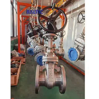 ASTM A351 CF8M Wedge Gate Valve, 4 IN, API 600, CL150, RF