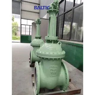 RF X RF Gate Valve, DN500, PN25, A216 WCB, DIN 3352, EN 1984
