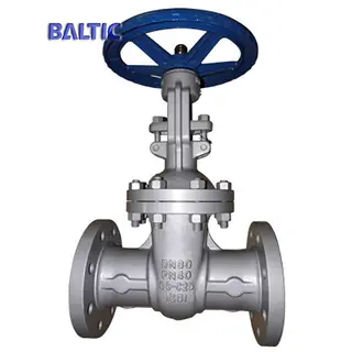 DN80 Flexible Wedge Gate Valve, EN 1984, PN40, RF End