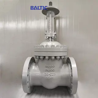Cast Steel Gate Valve, GS-C25, DN300, PN100, EN 1984, DIN 3352, RF