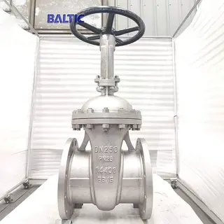 Stainless Steel Gate Valve, DIN 3352, 1.4408, DN250, PN25