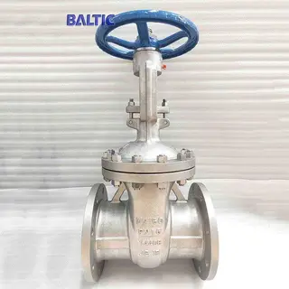 Stainless Steel 1.4408 Wedge Gate Valve, DN150, PN16, RF