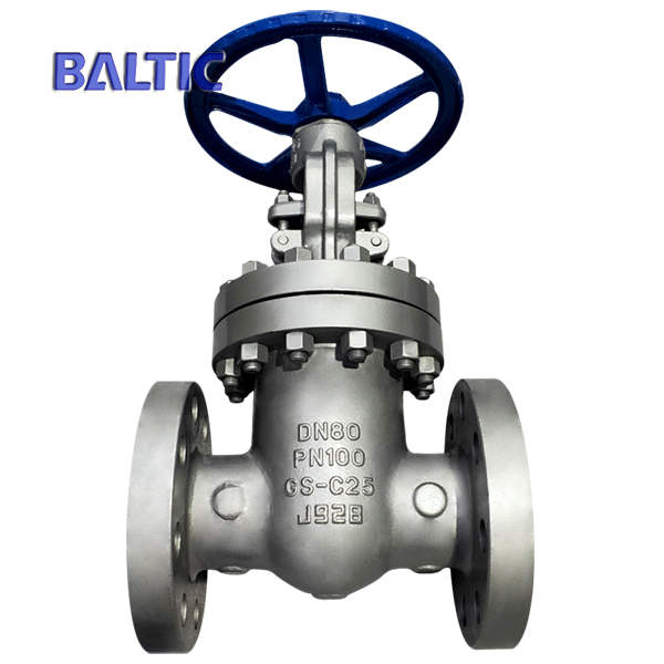 RF End Flexible Wedge Gate Valve, GS-C25, DIN 3352, DN80, PN100
