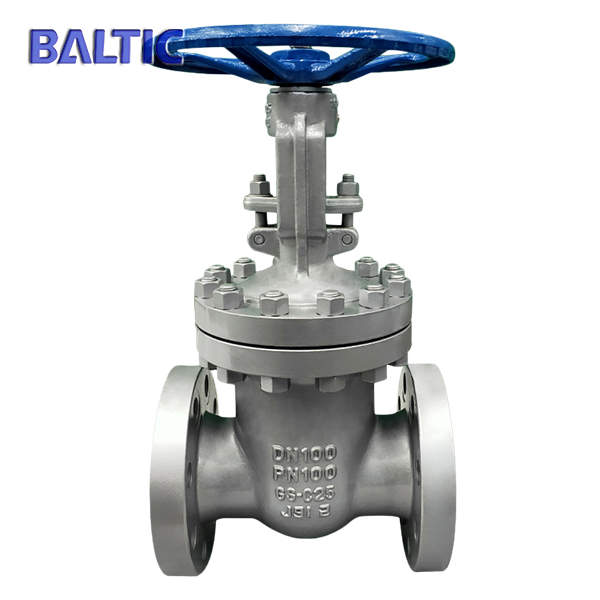 RF Flexible Wedge Gate Valve, GS-C25, DIN 3352, DN100, PN100
