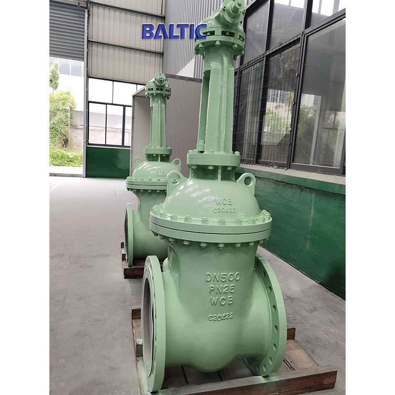 RF X RF Gate Valve, DN500, PN25, A216 WCB, DIN 3352, EN 1984