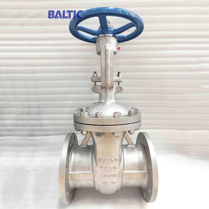 Stainless Steel 1.4408 Wedge Gate Valve, DN150, PN16, RF