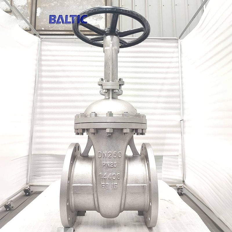 Stainless Steel Gate Valve, DIN 3352, 1.4408, DN250, PN25
