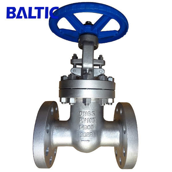 Stainless Steel Wedge Gate Valve, 1.4308, DN65, PN100, DIN 3352