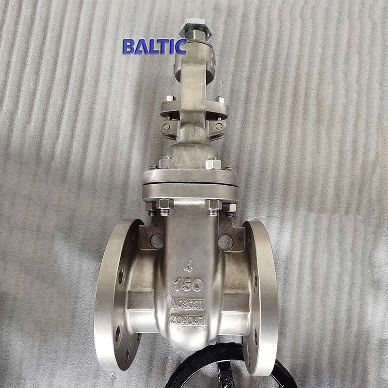 UNS N08001 Gate Valve, Flexible Wedge, 150 LB, 4 IN, API 600