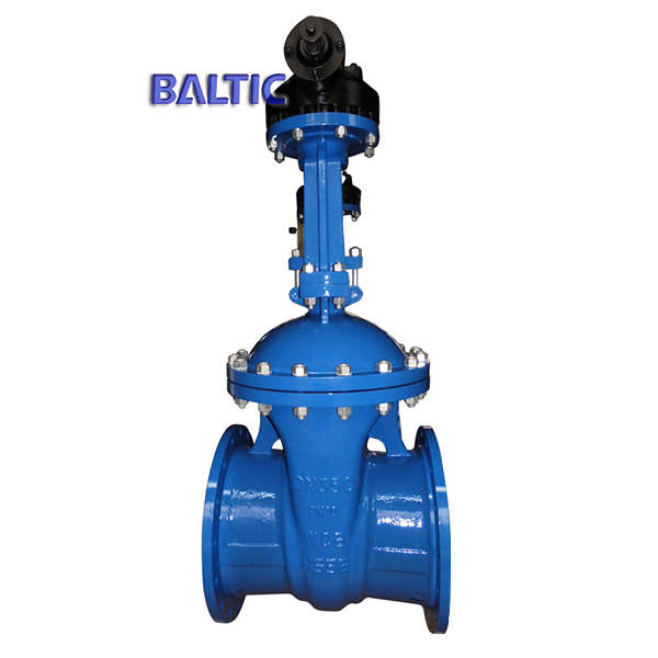 Extension Stem Gate Valve Astm A217 Wc6 Dn600 Pn10 Flanged Baltic 8880