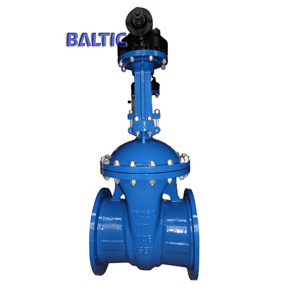 WCB Flexible Wedge Gate Valve with Flanged End, DN350, PN10