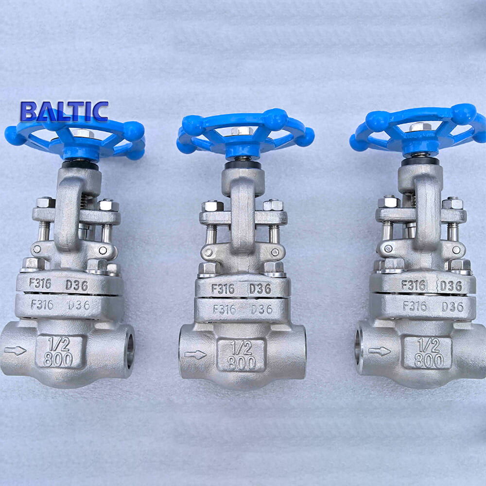 API 602 Globe Valves, A182 F316, 1/2 IN, CL800, Reduced Bore