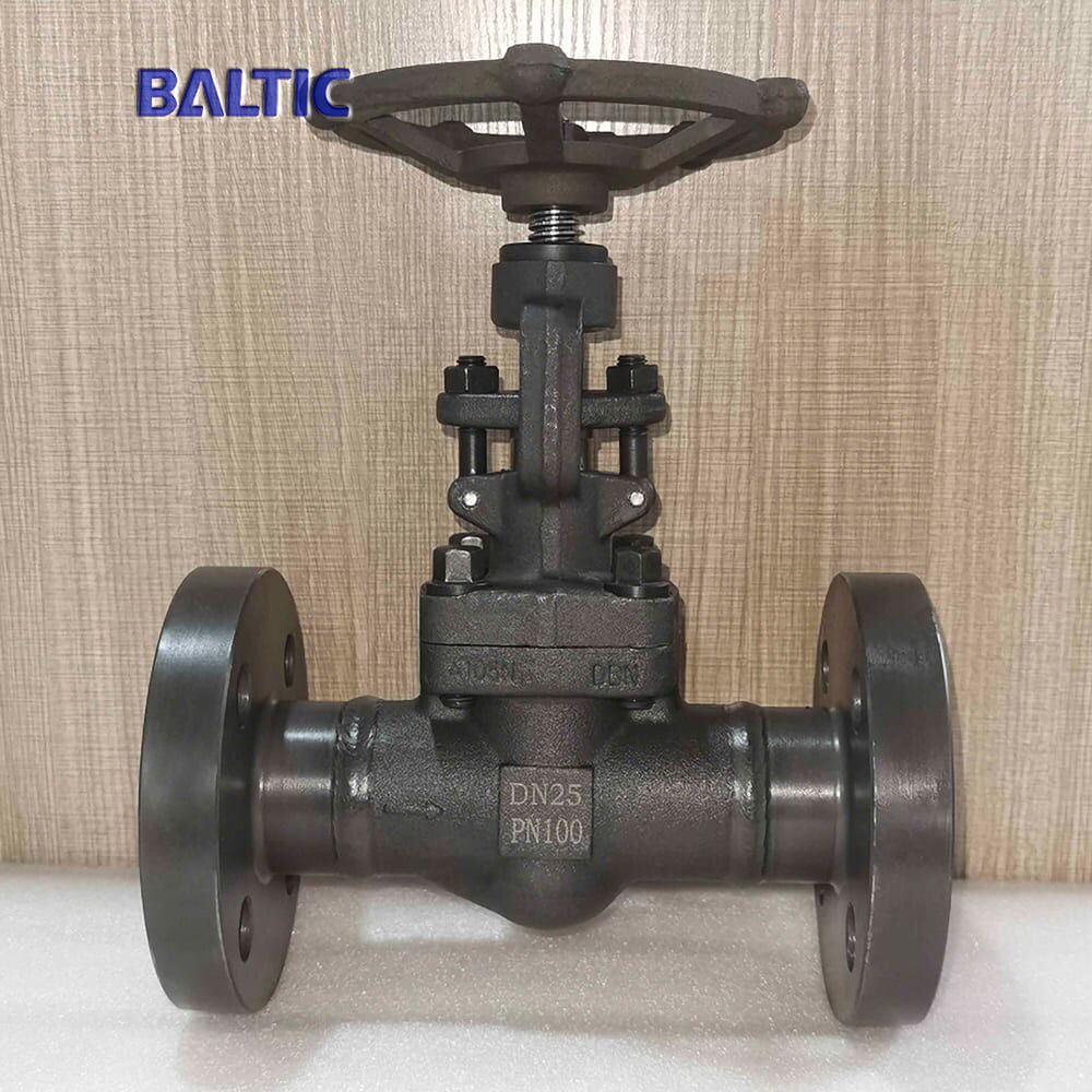 ASTM A105N Globe Valve, Carbon Steel, ISO 15761, DN25, PN100